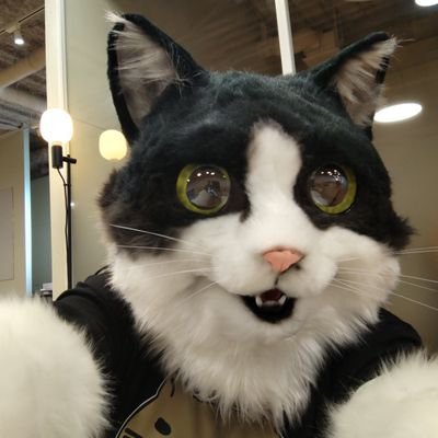 お出かけ大好き、カード収集好きなねこです😺
『新潟オカルトGATE』で怪談師やってます😺
よろしくお願いします