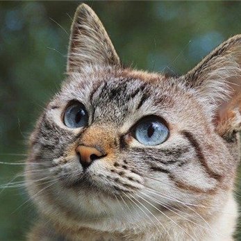 yuuko930479's profile picture. お金の豆知識やお得な情報など紹介したりしています。自身がお金に苦労したので生活に困っている人の力になれればと思い、ほんの僅かですが現金給付企画を始めました！ 期間限定→ https://t.co/mPA6IgB1yb