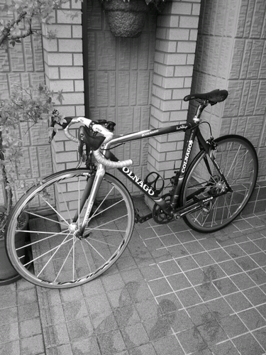 t_emori's profile picture. 