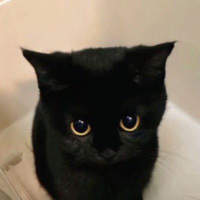 dialin____'s profile picture. ! only english.