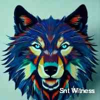 witnesssnst67's profile picture. Nft collectorinvestor & father. bitapes 🦍. 1x mayc bitcoin spaceshost web3 ambassador 🌟 pewpew