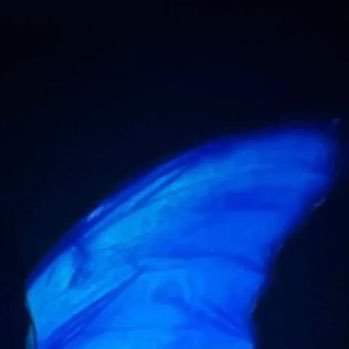 Shiamiimal's profile picture. 