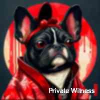 witnessprivaat's profile picture. Harnessing the power of blockchain to revolutionize traditional systems