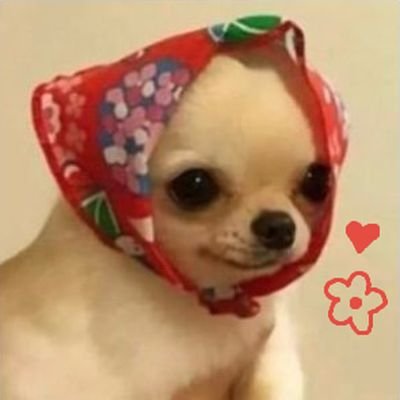 GlittaGal333's profile picture. i work in climate justice and watch too much hotel inspector on youtube and scream into the abyss (she/her)