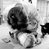 อิน เซต (@n4ixkiq) 's Twitter Profile