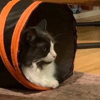 Kat (@kitkaaattt3) 's Twitter Profile Photo