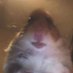 Tizu (@_tizzol) Twitter profile photo