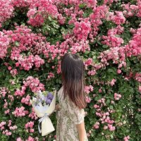 Manaka (@manaka1299293) 's Twitter Profile