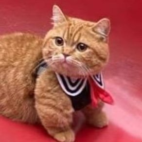 anonim980800's profile picture. 