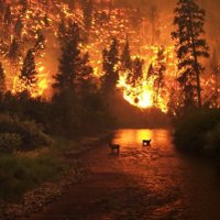 MT_MTN_MAN (@tstensatter) 's Twitter Profile