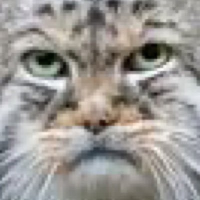 nantictw's profile picture. what kind of world am i in?...we're on the edge of annihilation, we mustn't let it happen, don't let the world end because of mankind's greed