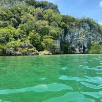 DyA (@dya93868055) 's Twitter Profile