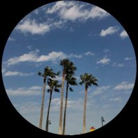 النسانيس الجنوبيه (@nmh99360868) 's Twitter Profile