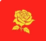 Merton Labour Profile