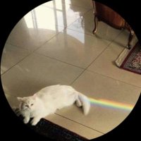 🔰 (@dbublin) 's Twitter Profile Photo 🔰 (@dbublin) 's Twitter Profile Photo
