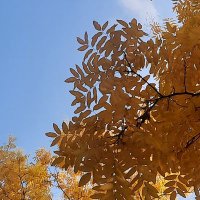 yumyyyy (@yldyld49676769) Twitter profile photo