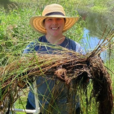Assistant Professor at Clemson University
Department of Agricultural Sciences
Baruch Institute of Coastal Ecology and Forest Science