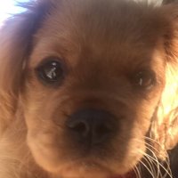 Yozzi Vander (@yolvander11) 's Twitter Profile Photo Yozzi Vander (@yolvander11) 's Twitter Profile Photo