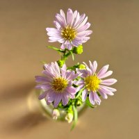 藤文@シナリオライター (@fujinosita) 's Twitter Profile Photo 藤文@シナリオライター (@fujinosita) 's Twitter Profile Photo