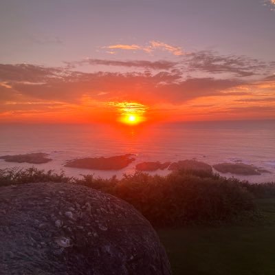 zkittalicious's profile picture. 