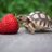 tamish92's profile image