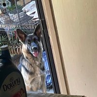 B (@realone__b) 's Twitter Profile