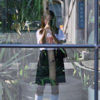 Julius (@juliuszhang_fv) 's Twitter Profile