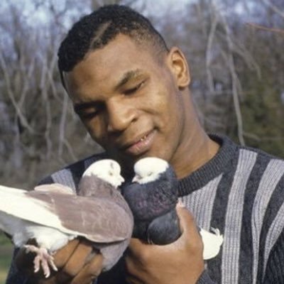 Anvil_Ping's profile picture. 