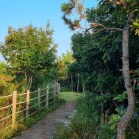 길! (@kimyulhee85) 's Twitter Profile