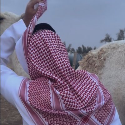 Majed__ebrahem's profile picture. 