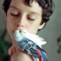 ángel (@mirrorseen) 's Twitter Profile