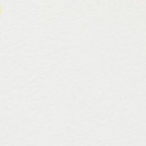 77_77_7_7_7_'s profile picture. 성인/구독계