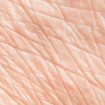 shiwashiwa1's profile picture. 🌙🧊専無言フォロー失礼致します。 ポストは全てフィクションです