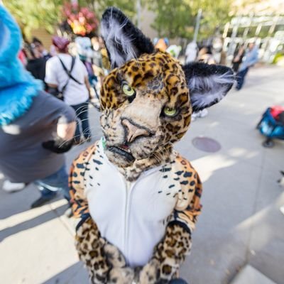 🐾Raindrop The Paw Brained Jaguar🐾 Profile