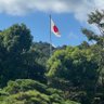 sakura_chiyoda's profile picture. 移民、再エネは亡国、断固反対。日本保守党特別党員。無言フォローご容赦。Japan First!
