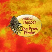 Serialdabber.313 (@serialdabber313) 's Twitter Profile