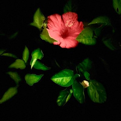 KMuru999's profile picture. யாரையும் நம்பாதே. எவலையும் நம்பாதே. அதிகம் அன்புவைத்தால் ❤️மறப்பது கடினம். அதிகமாக அன்புவைத்ததால் ❤️❤️அவதிபடுகிறேன் ஒவ்வொரு நாளும்…😂😂😂
