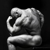 Bald Bodybuilders (@baldmuscle) 's Twitter Profile