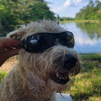Thomas Luck (@tommyluck11) 's Twitter Profile