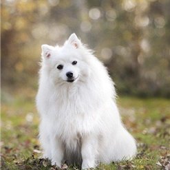 副業で収入を増やすコツを発信中。副業を始めたい人にお得な情報をお届け。少しですがお金配り企画もしております♬ 支援中→ https://t.co/uvzYq9SbOI