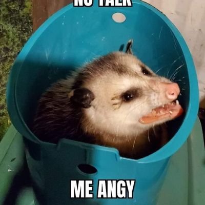 vibin' on my internal playlist of tiktok sounds and the 2 lines of 90s/00s songs I remember