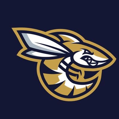 The GTUV is dedicated to preserving the history of Georgia Tech Athletics and particularly, their uniforms.
Not affiliated with Georgia Tech or Adidas