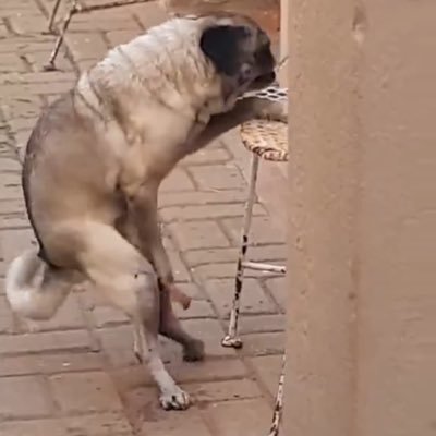 konikoniGSXRR's profile picture. 低浮上▷▶︎▷...。