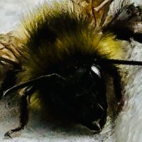 keithmacinnis (@keithmacinnis) 's Twitter Profile