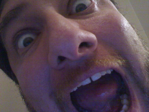 PelerinGris's profile picture. Un Gamer Quebecois incurable  friand de Techno.