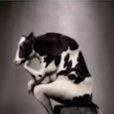 MimiBleh (@thinkingcow_png) 's Twitter Profile Photo MimiBleh (@thinkingcow_png) 's Twitter Profile Photo