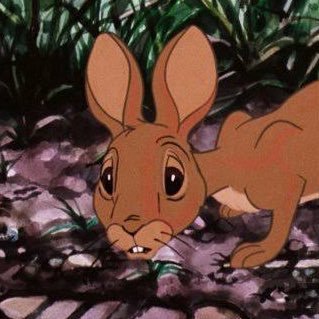 inevtitable's profile picture. full of rage