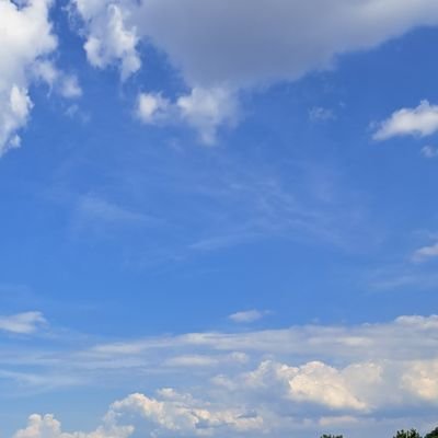 hduebridmx's profile picture. 懸賞用のアカウント🐇