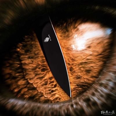 hhn1760525's profile picture. 