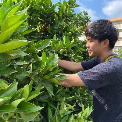 23232871hashimo's profile picture. お仕事でロボット頑張っております/趣味では収穫サポートロボットTANGをゆるりと制作中🍊